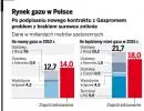Gaz: Bezpieczni będziemy dopiero w 2015 roku