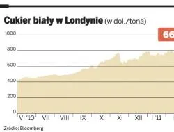 Producenci przygotowują się do zakupu cukru za granicą