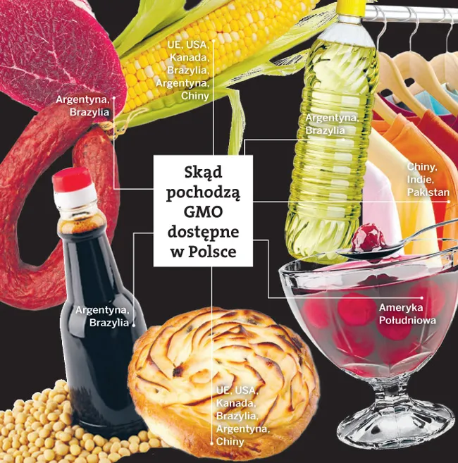 Genetyczny chaos, czyli dla nas oznacza zamieszanie wokół GMO