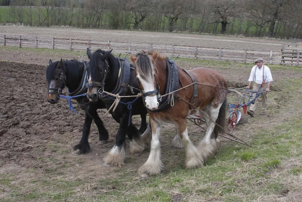 Kaszubscy rolnicy zdobywają turystyczne kwalifikacje