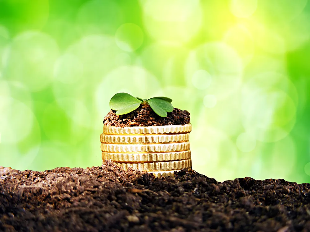 Jutro zapadnie decyzja w sprawie siedziby funduszu klimatycznego