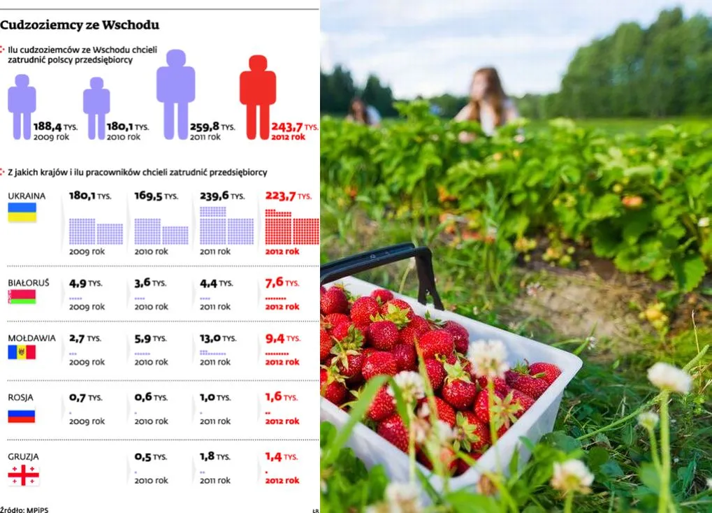 Imigranci ze Wschodu ubiegają się o wizy, bo Polska jest furtką do Schengen