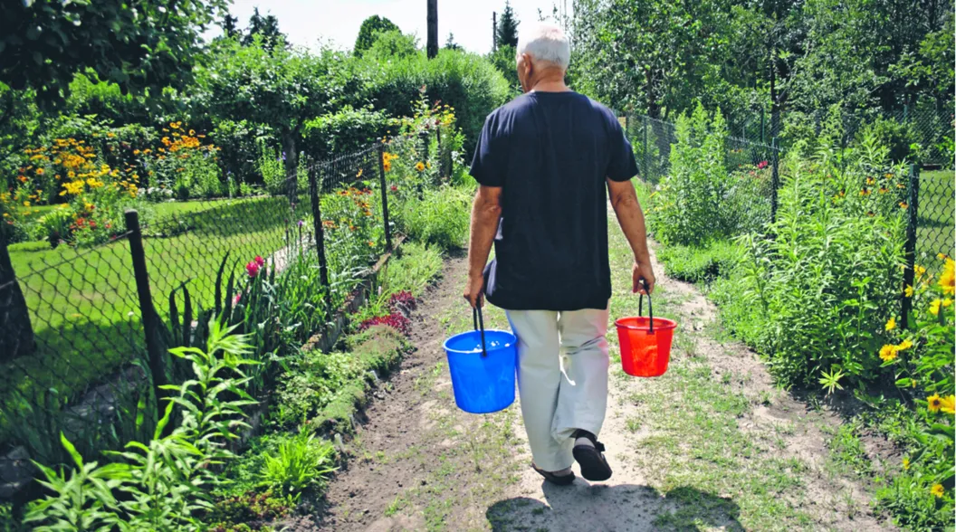Donosy, zastraszanie i wyzwiska w cieniu altany, czyli wojna o ogródki działkowe