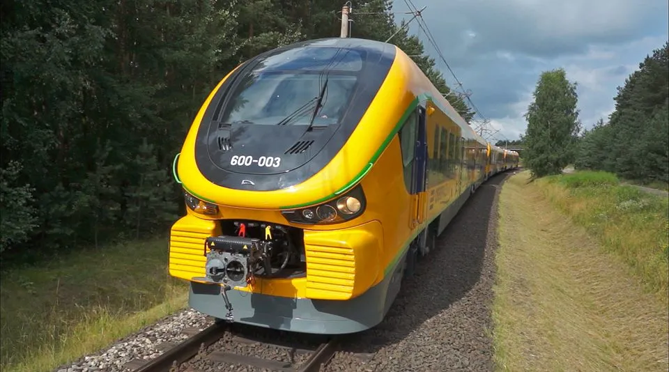 Link Pesy dla Netinery