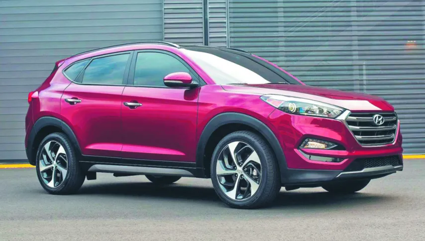 Bąk: Jego wnętrze odzwierciedla zewnętrze