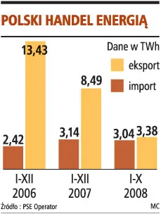 Polsce grozi rola importera prądu