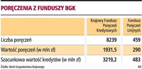 Mogą być problemy z gwarancjami udzielanymi przedsiębiorstwom przez Bank Gospodarstwa Krajowego