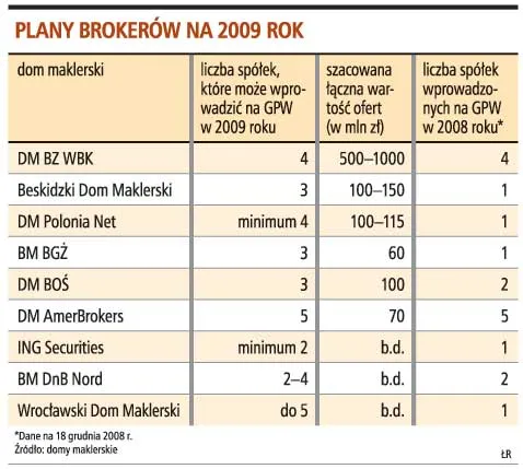 W 2009 roku nie będzie więcej debiutów giełdowych