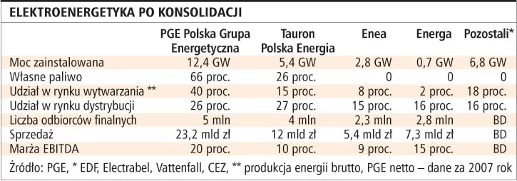 Koncentracja rynku energetycznego jest nadmierna