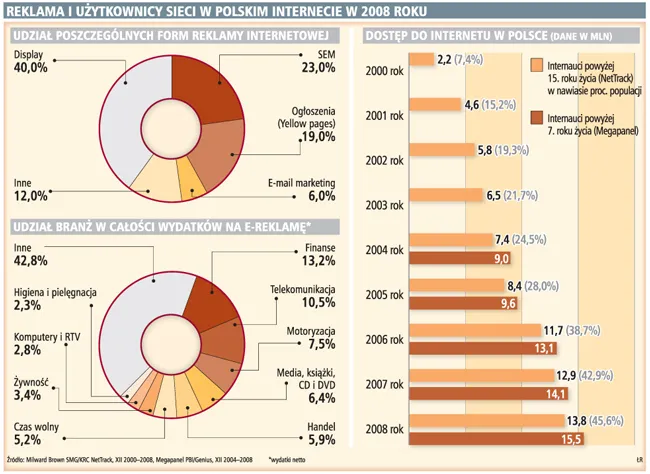 Rok 2009 będzie trudny dla polskiego internetu