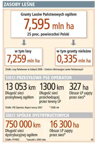 Lasy Państwowe żądają 100 mln zł od energetyki
