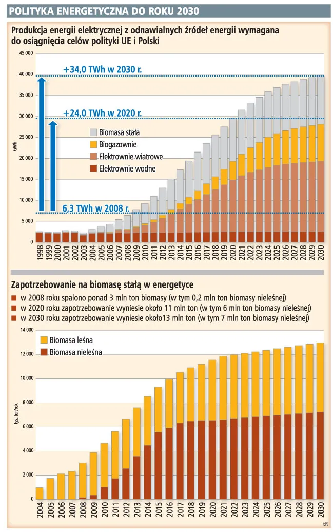 Rośnie popyt na rośliny energetyczne