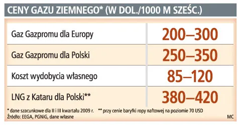 Gaz z Kataru może okazać się tańszy od rosyjskiego