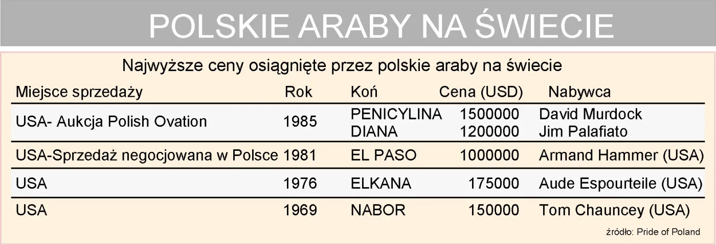 polskie_araby_na_swiecie_92306.jpg