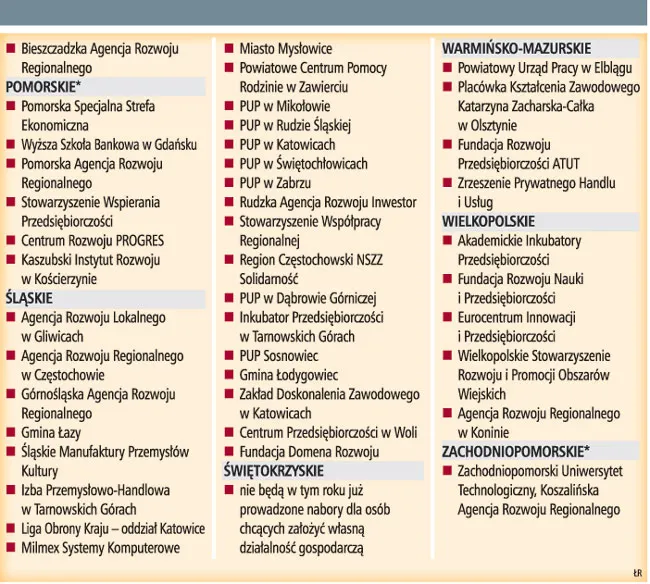 Ponad 200 mln zł na zakładanie firm