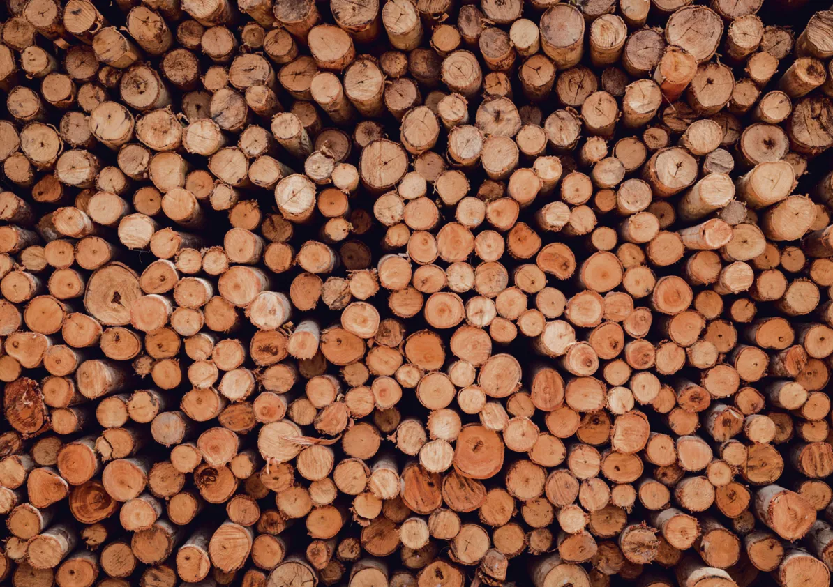 Co moje to moje. Jakie są granice własności prywatnej?