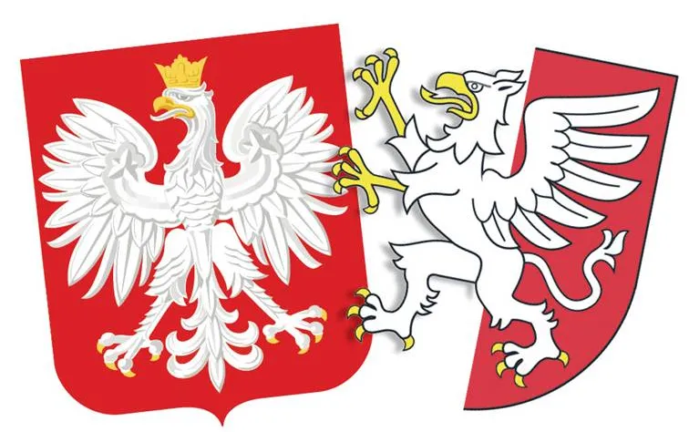 Układ, sitwa, ranczo? Prawda o samorządach jest bardziej skomplikowana