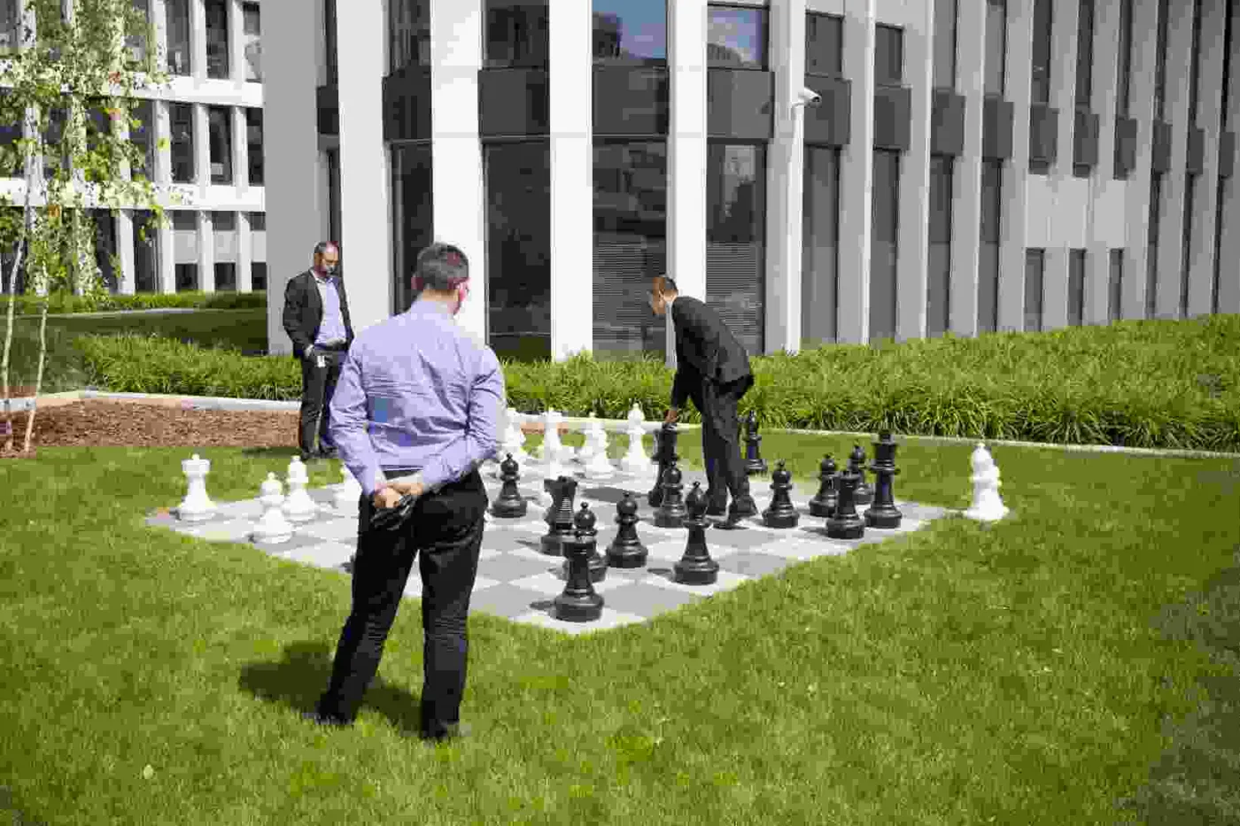 3144741-szachy-business-garden.jpg