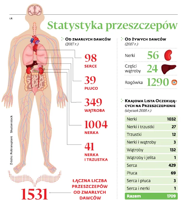 Nowa lista refundacyjna: wzrosną ceny leków dla chorych po przeszczepach