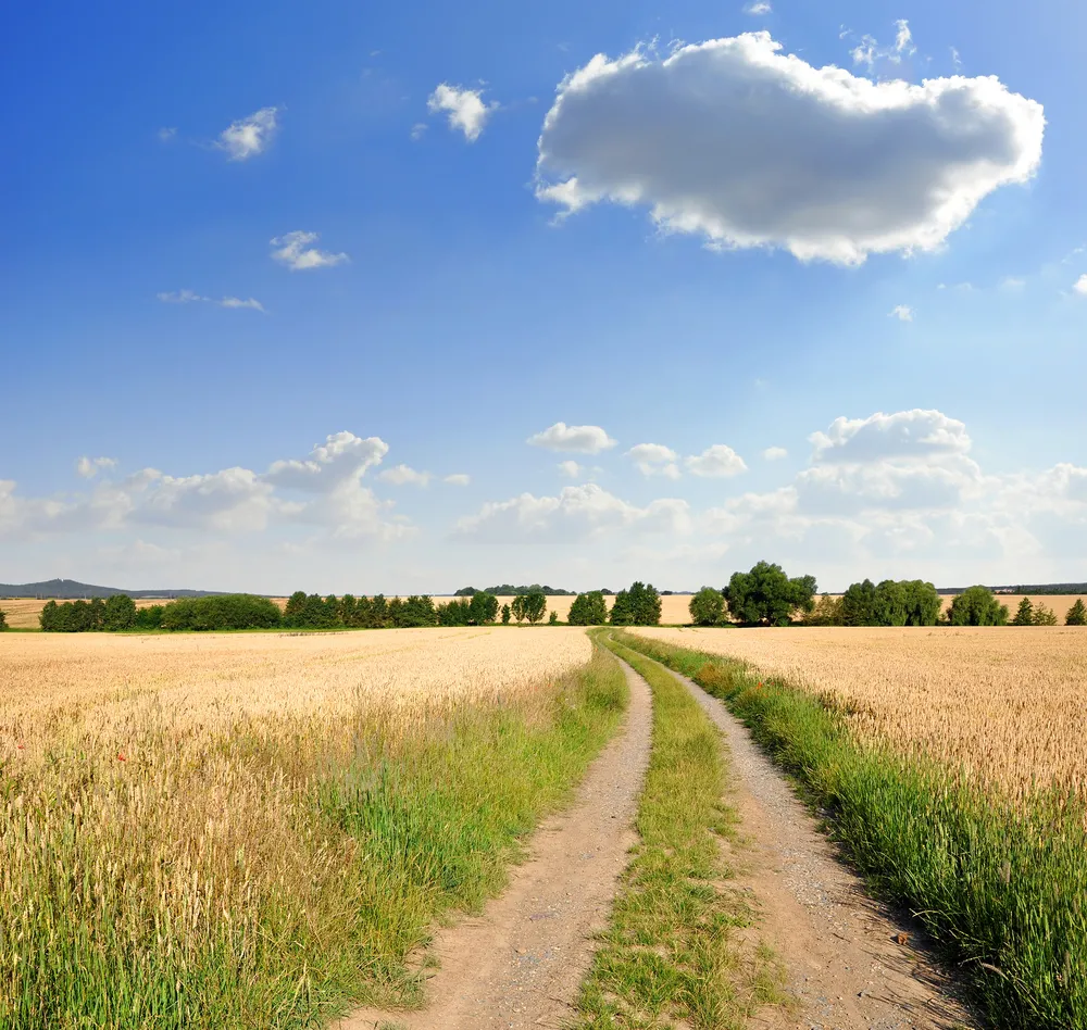 Ograniczenia w zakupie ziemi przez cudzoziemców znikną w 2016 roku