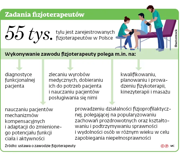 3336404-zadania-fizjoterapeutow.jpg