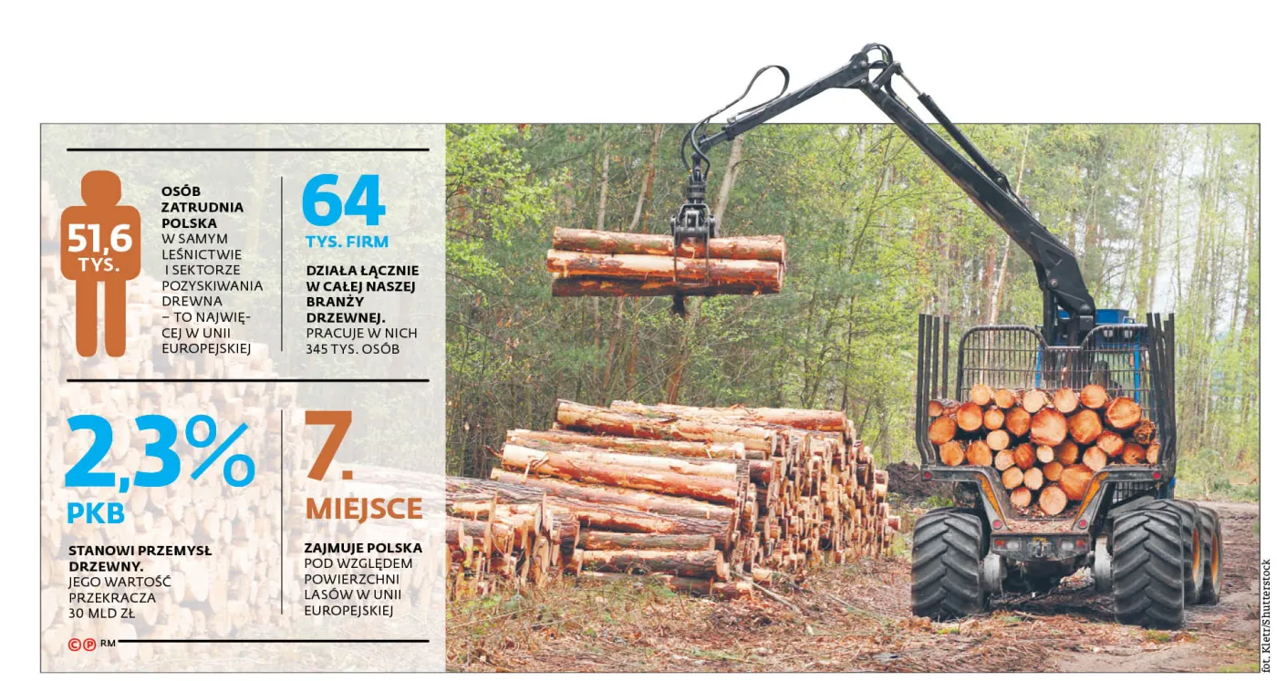 Z drewnem może być jak z cukrem