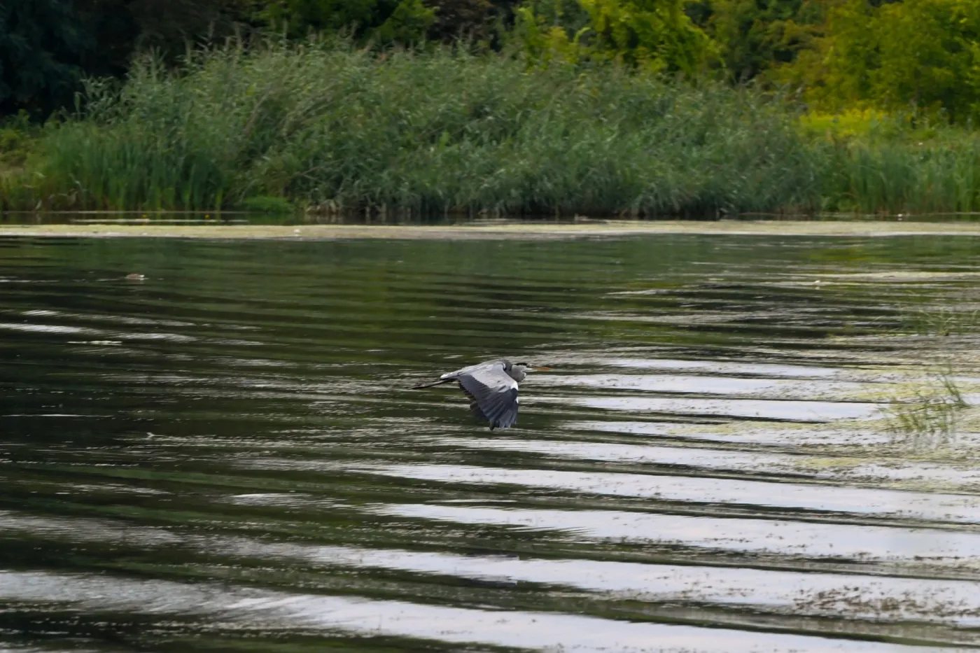 Będzie wsparcie dla przedsiębiorców znad Odry. Sejm uchwalił ustawę