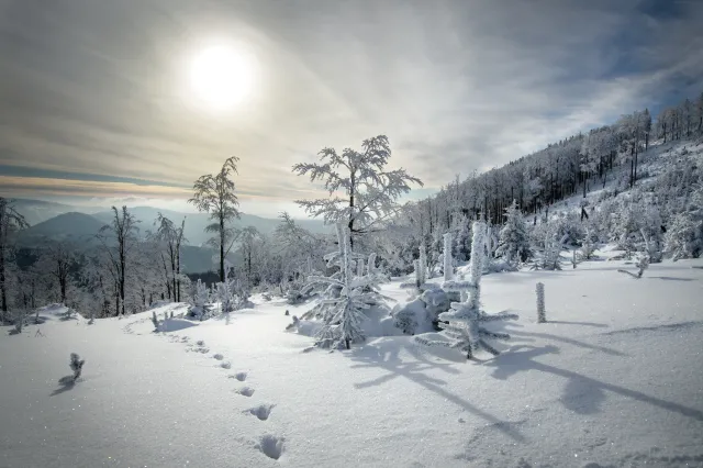 Intensywne opady śniegu w województwie śląskim. 10 tys. osób bez prądu