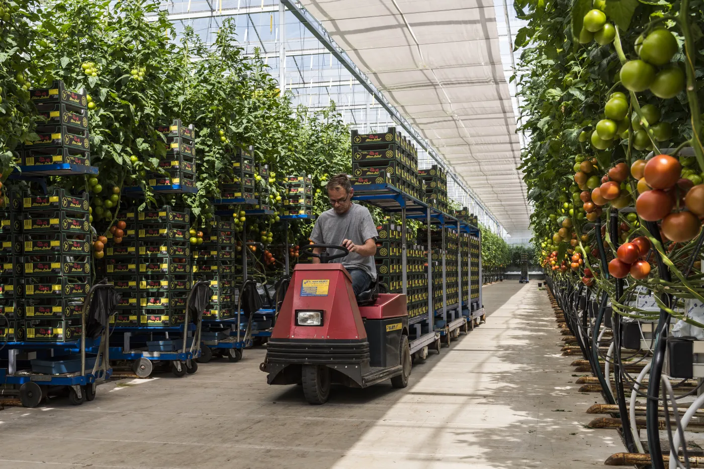Potrącenie zarobków za nieumyte naczynia? Holenderskie agencje pracy wykorzystują pracowników z Europy Wschodniej [BADANIE]