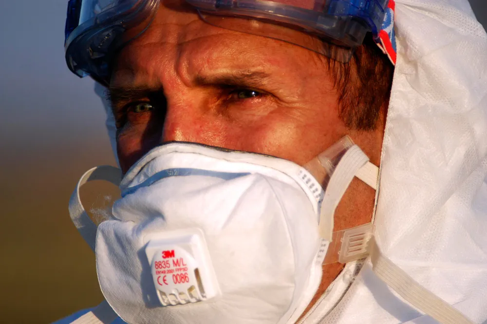 Na Węgry wróciła ptasia grypa. Rośnie ryzyko wybuchu epidemii