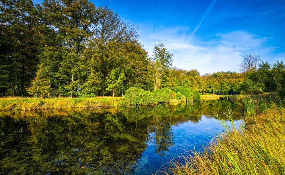 Ekohydrolog: Oczyszczanie wód pochodzących z rolnictwa jest konieczne