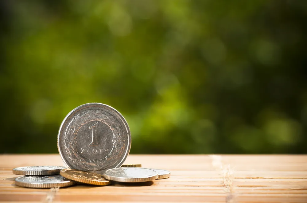 Cichocki: Wszystkie odcienie szarości