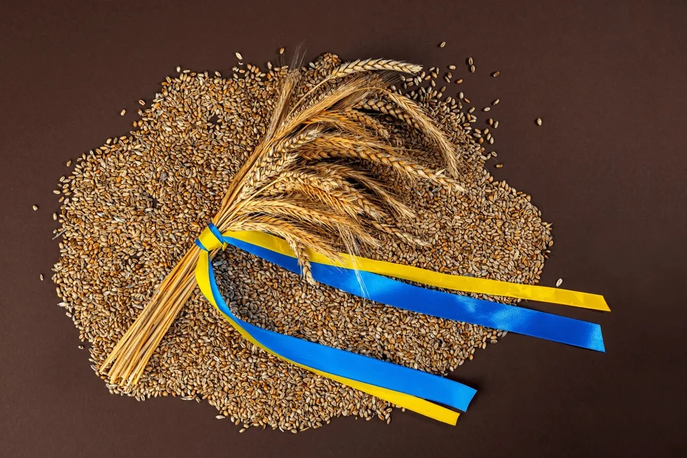 Wojna zbożowa. Rosja bezlitośnie niszczy ukraińską infrastrukturę eksportową