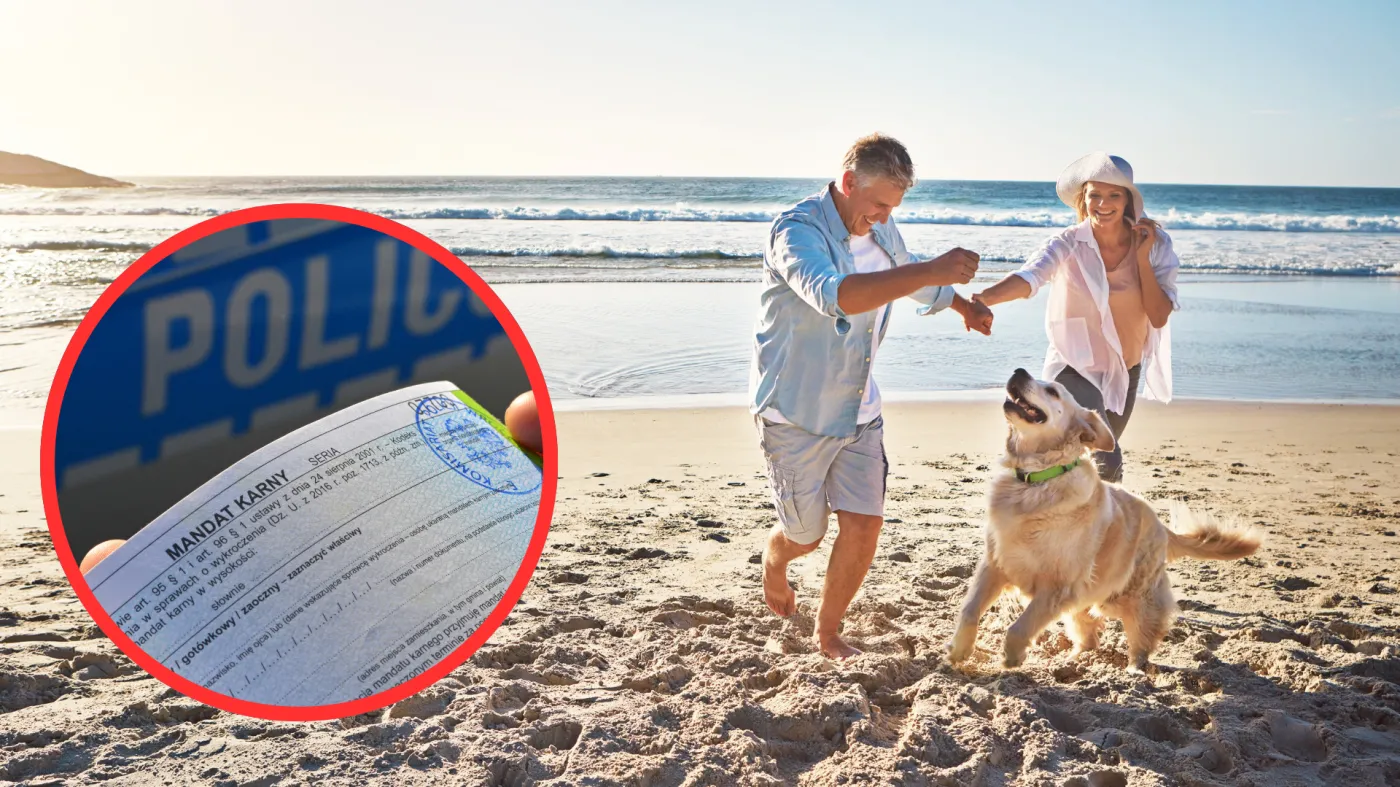 zakaz wyprowadzania psów