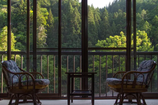 Jak zieleń w otoczeniu domu wpływa na samopoczucie? [BADANIE]