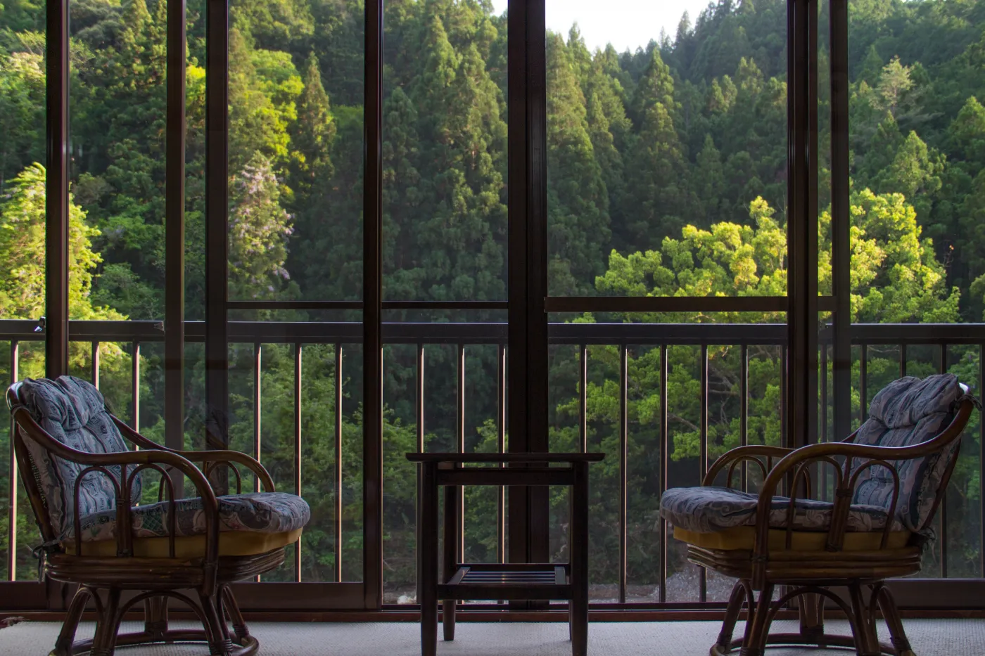 Jak zieleń w otoczeniu domu wpływa na samopoczucie? [BADANIE]