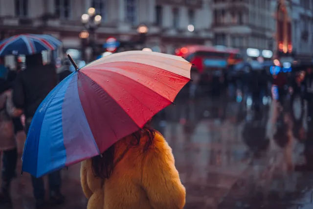 Holenderski prorosyjski polityk, pobity parasolką, ma wstrząs mózgu i musiał zawiesić kampanię