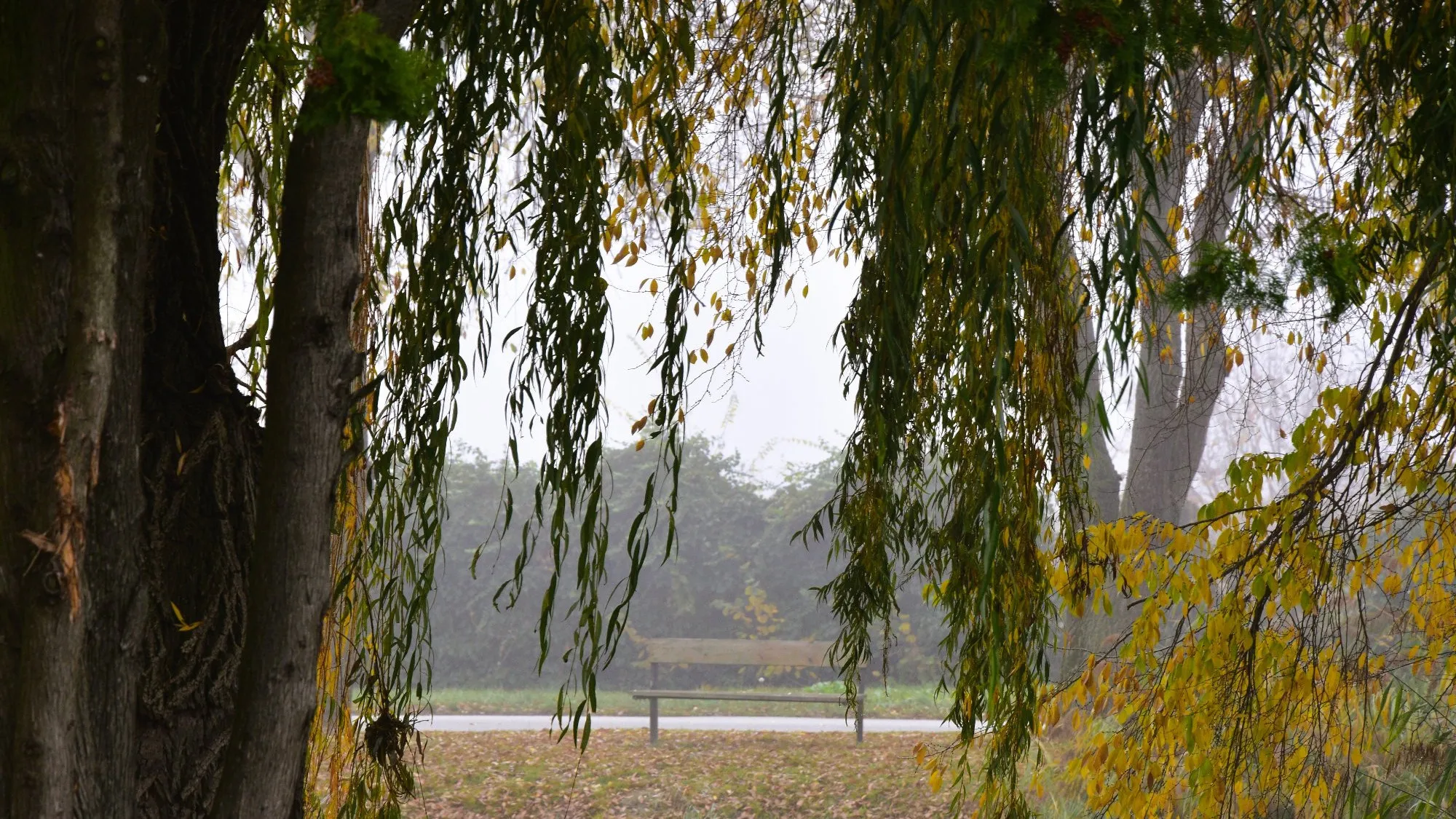 Pogoda w weekend - sobota 24.10.2026 i niedziela 25.10.2026. Czy da się gdzieś odpocząć bez deszczu i wiatru