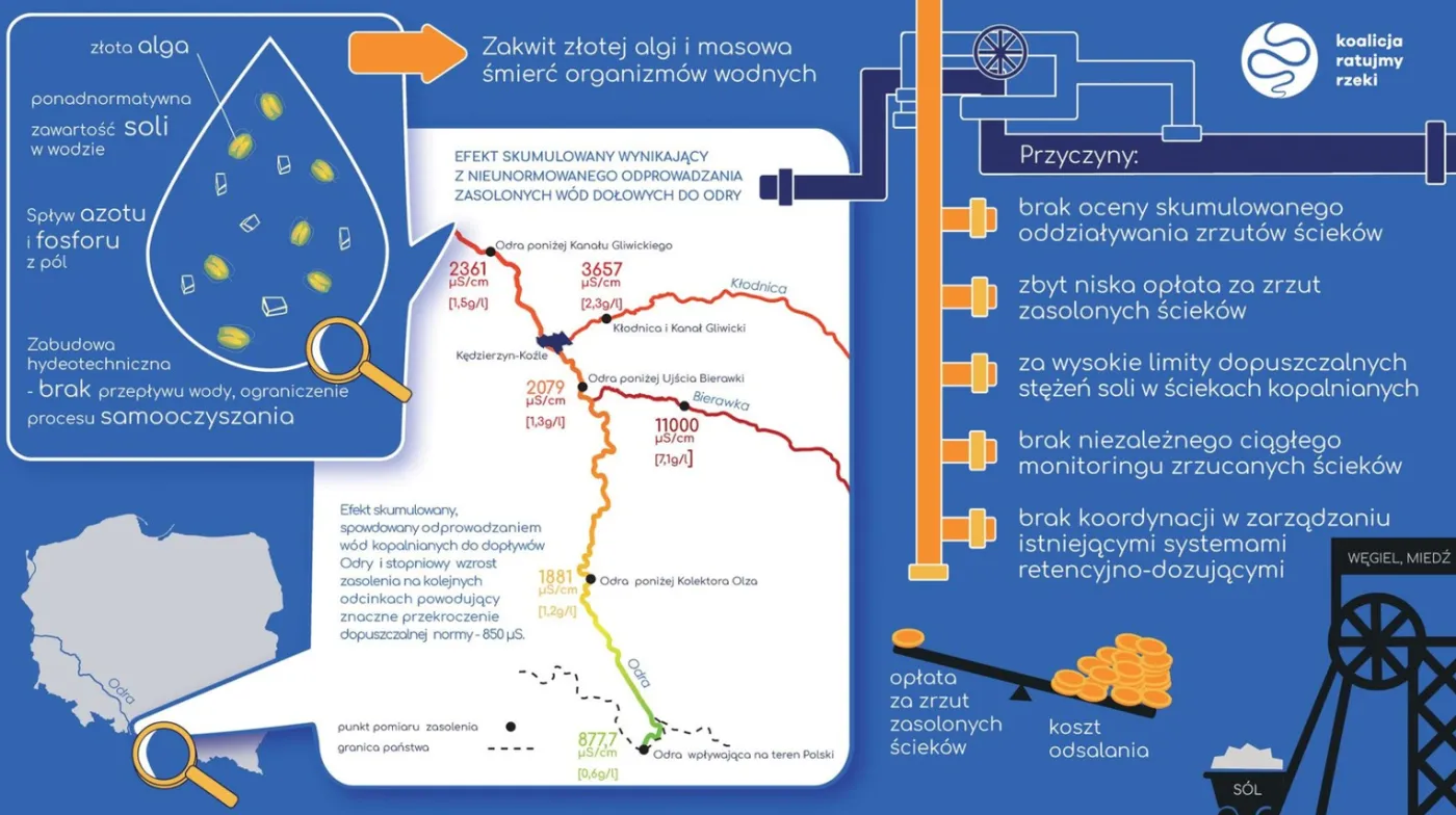 Raport NIK: Do polskich rzek zrzucają wody bardziej słone niż Bałtyk!