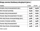 Amerykańskie spółki hitem inwestycyjnym