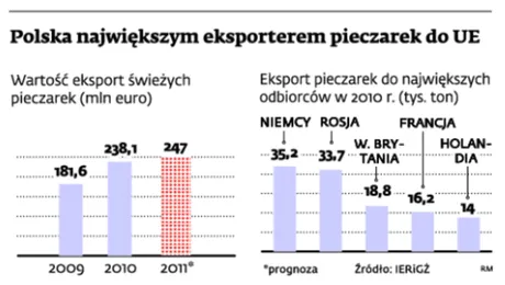 W Unii Europejskiej jesteśmy pieczarkowym hegemonem