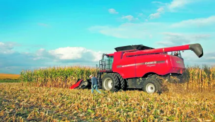 FT: Oddala się widmo drożyzny na rynku żywności