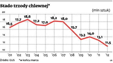 Stado trzody chlewnej