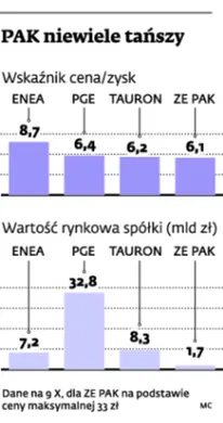 Resort skarbu mocno przecenił akcje PAK