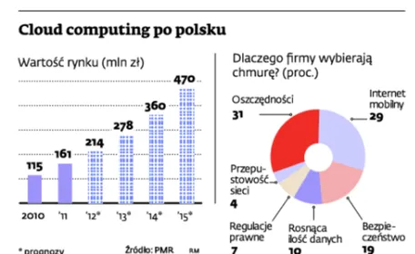 Cloud computing po polski