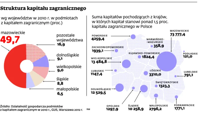 Struktura kapitału zagranicznego