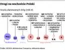 Większość dróg Polski wschodniej wypadła poza listę rządowych priorytetów