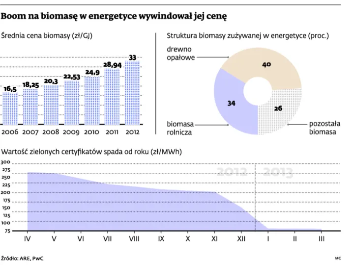 Zielona energetyka: biomasa nad przepaścią