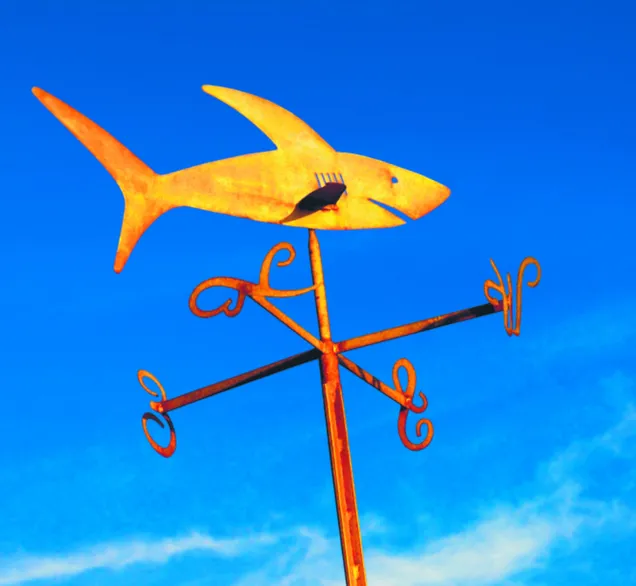 Media, politycy czy grupy interesu: kto nami steruje?