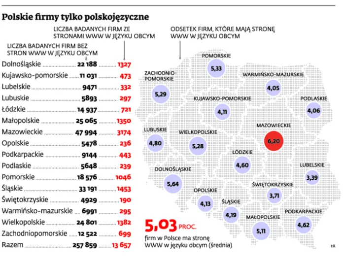 Małe i średnie firmy nie tłumaczą stron na obce języki